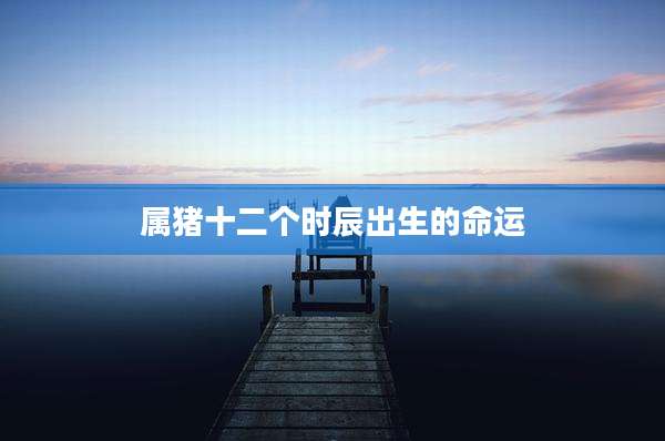 属猪十二个时辰出生的命运