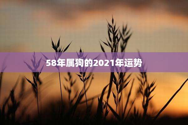 58年属狗的2021年运势