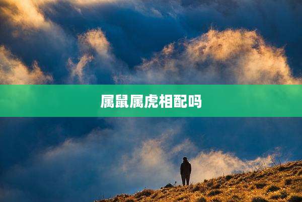属鼠属虎相配吗