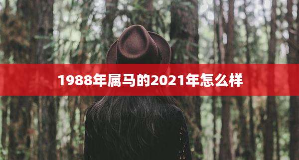 1988年属马的2021年怎么样