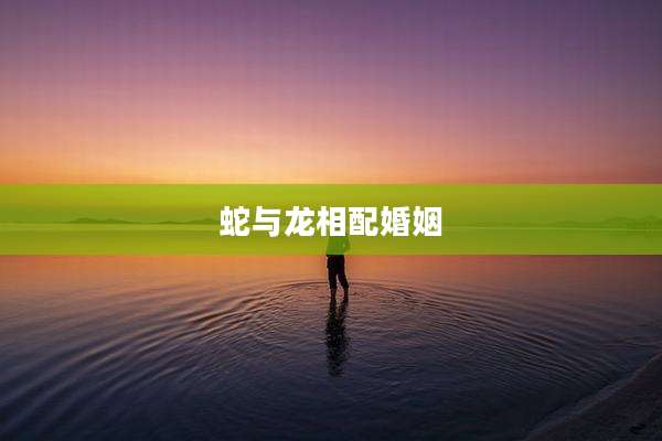 蛇与龙相配婚姻