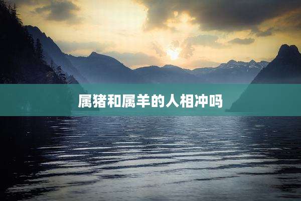 属猪和属羊的人相冲吗