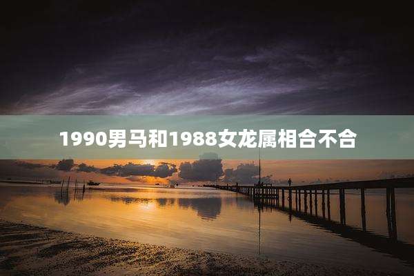 1990男马和1988女龙属相合不合