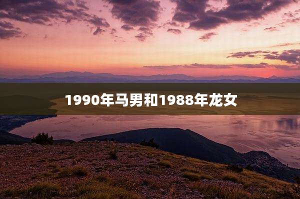 1990年马男和1988年龙女