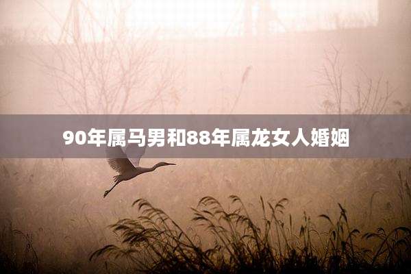 90年属马男和88年属龙女人婚姻