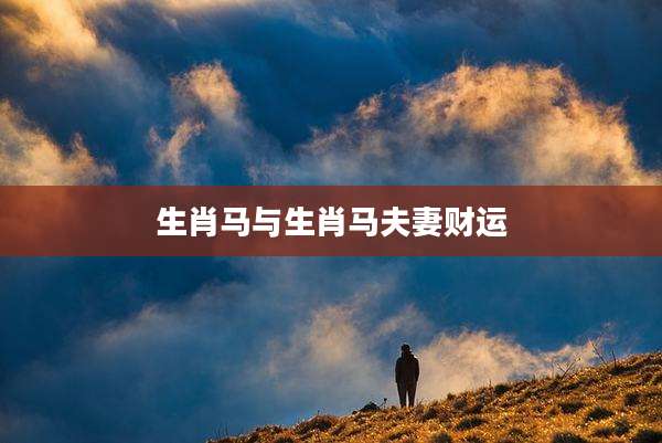 生肖马与生肖马夫妻财运