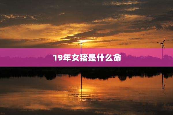 19年女猪是什么命