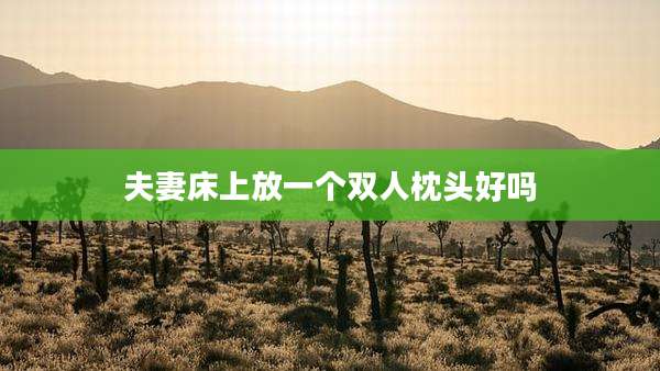夫妻床上放一个双人枕头好吗