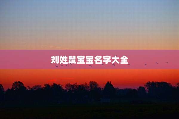 刘姓鼠宝宝名字大全