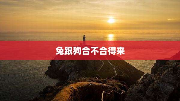 兔跟狗合不合得来