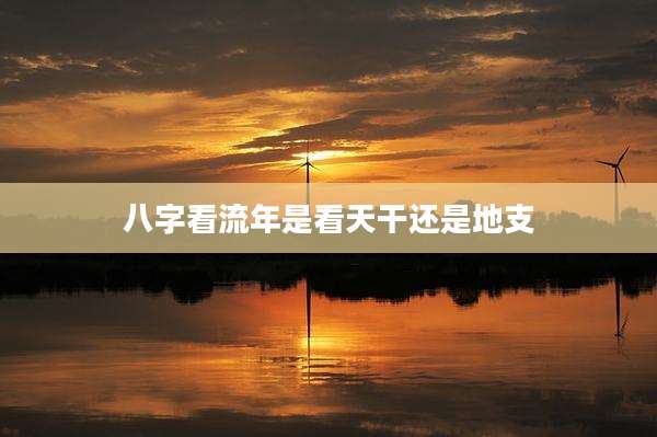 八字看流年是看天干还是地支