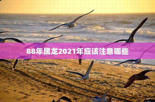 88年属龙2021年应该注意哪些