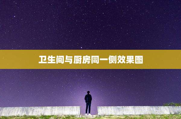 卫生间与厨房同一侧效果图