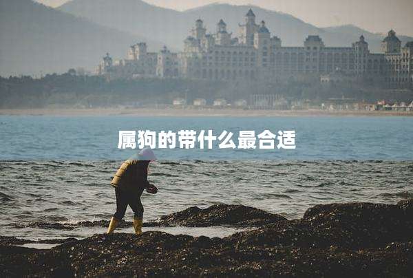 属狗的带什么最合适