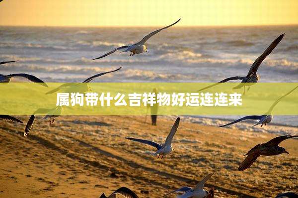属狗带什么吉祥物好运连连来