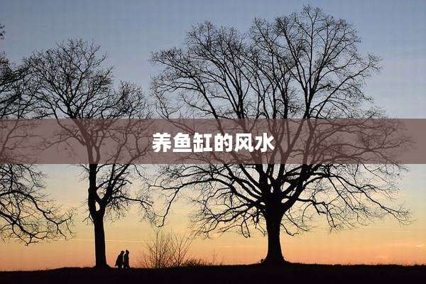 养鱼缸的风水