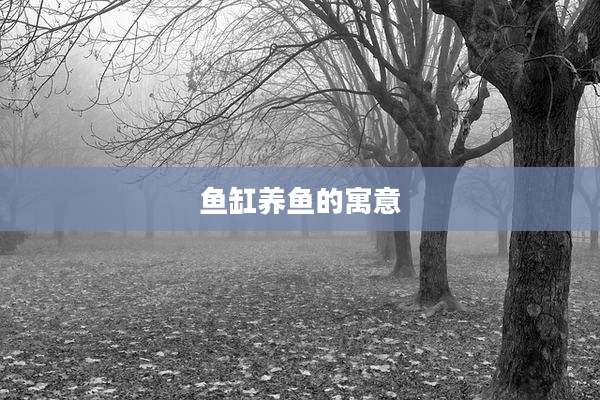 鱼缸养鱼的寓意