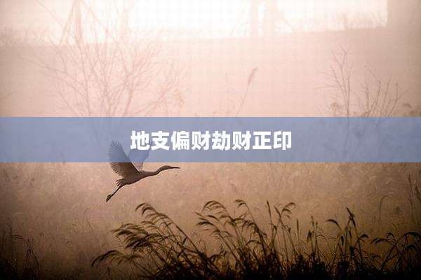 地支偏财劫财正印