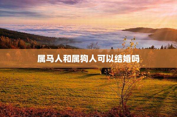 属马人和属狗人可以结婚吗