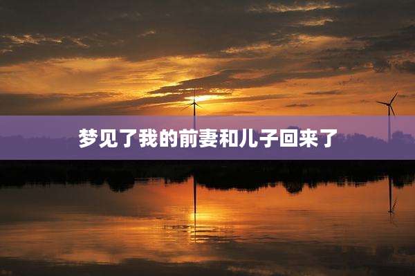 梦见了我的前妻和儿子回来了