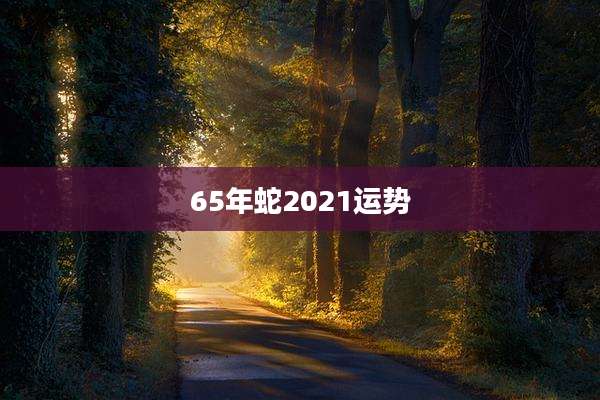 65年蛇2021运势