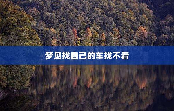 梦见找自己的车找不着