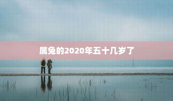 属兔的2020年五十几岁了