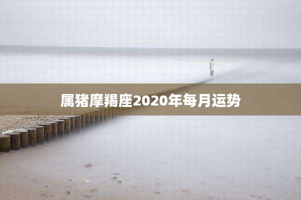 属猪摩羯座2020年每月运势