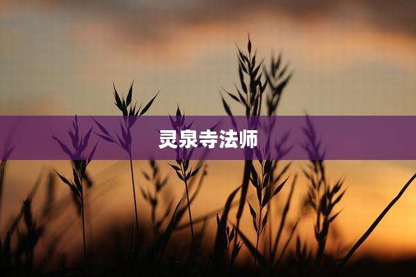 灵泉寺法师