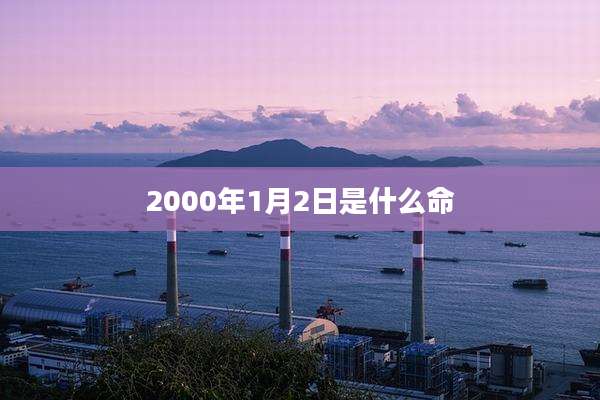 2000年1月2日是什么命