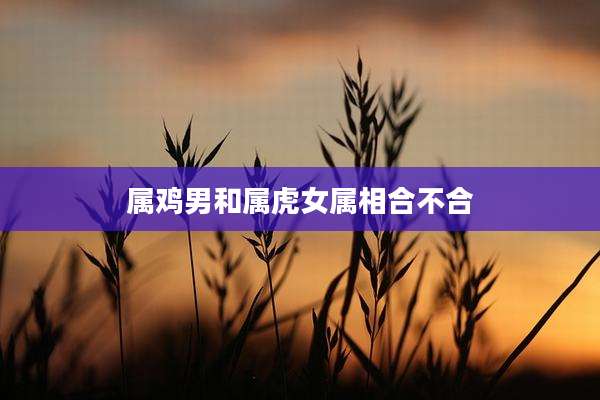 属鸡男和属虎女属相合不合