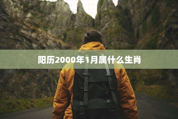 阳历2000年1月属什么生肖