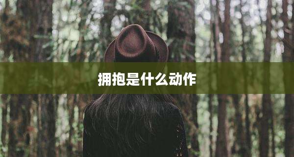 拥抱是什么动作