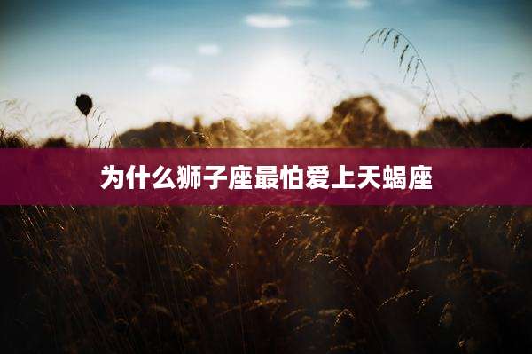 为什么狮子座最怕爱上天蝎座