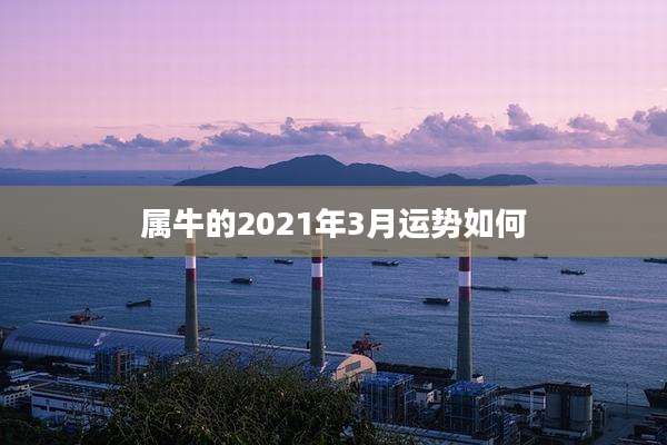 属牛的2021年3月运势如何