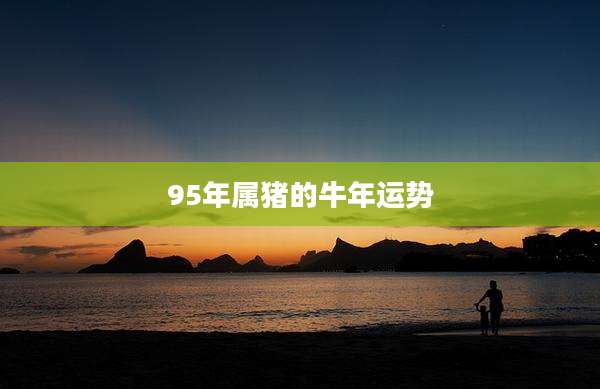 95年属猪的牛年运势