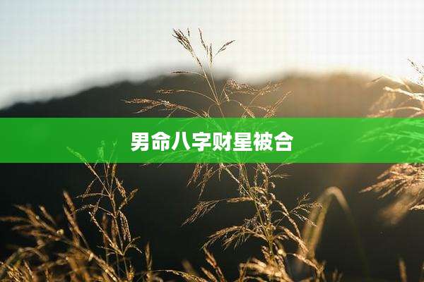 男命八字财星被合