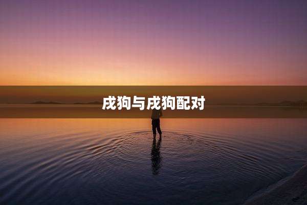 戌狗与戌狗配对