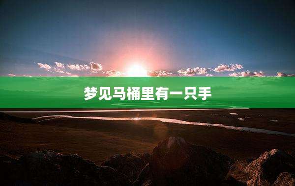 梦见马桶里有一只手