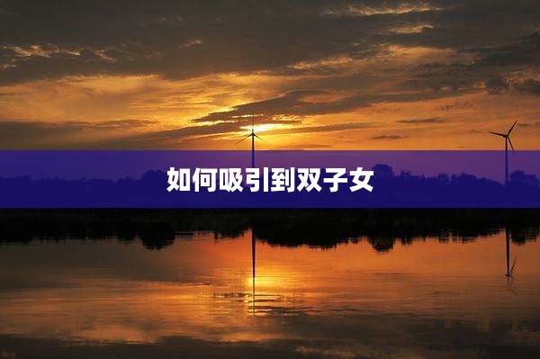 如何吸引到双子女
