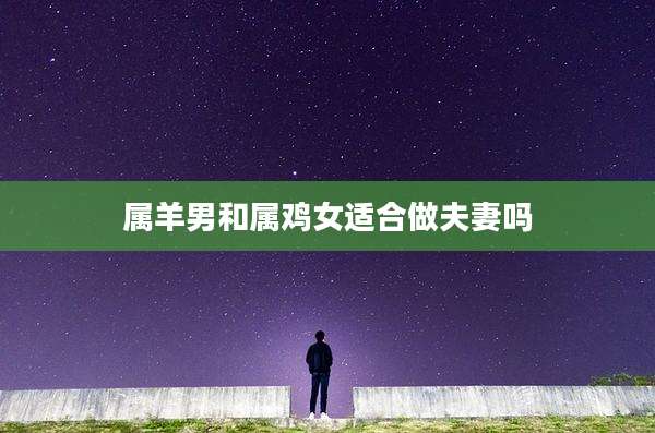 属羊男和属鸡女适合做夫妻吗