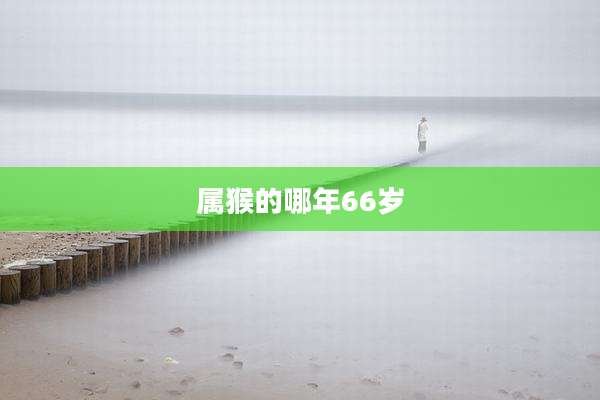属猴的哪年66岁