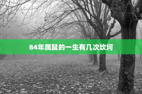 84年属鼠的一生有几次坎坷