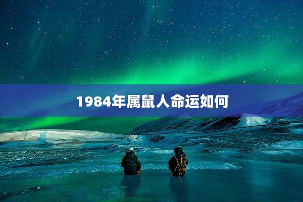 1984年属鼠人命运如何
