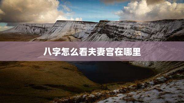 八字怎么看夫妻宫在哪里