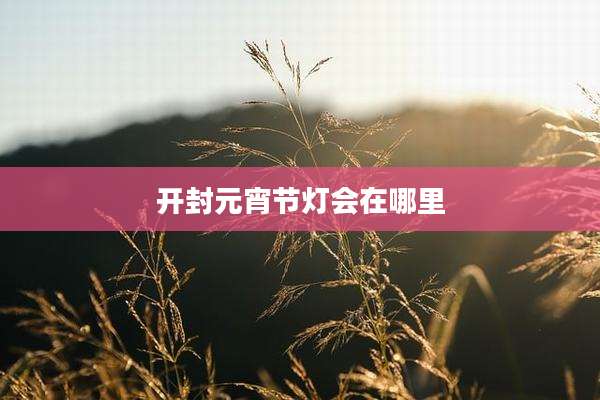 开封元宵节灯会在哪里