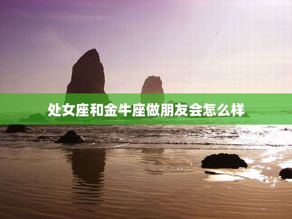 处女座和金牛座做朋友会怎么样