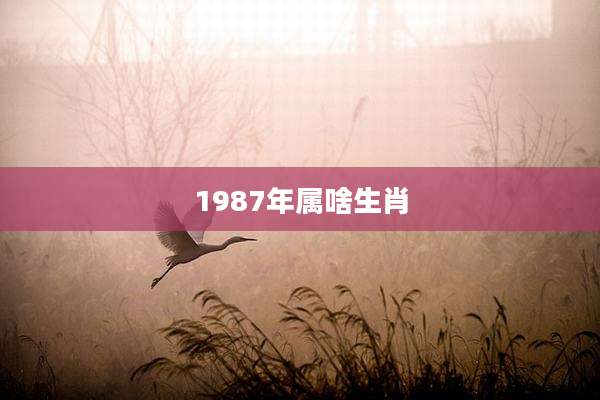 1987年属啥生肖