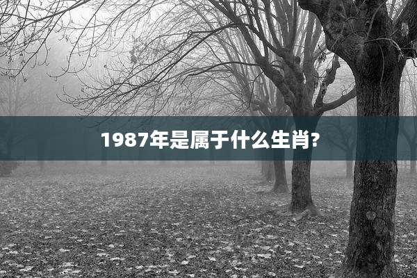 1987年是属于什么生肖?