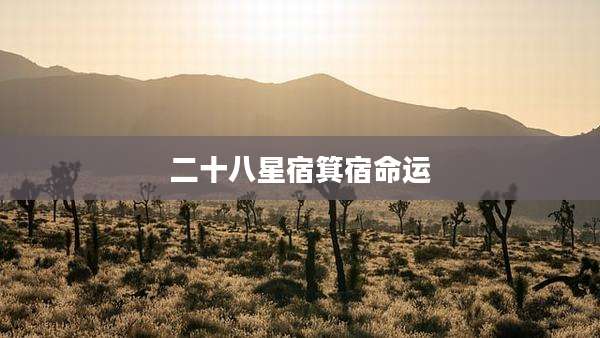 二十八星宿箕宿命运